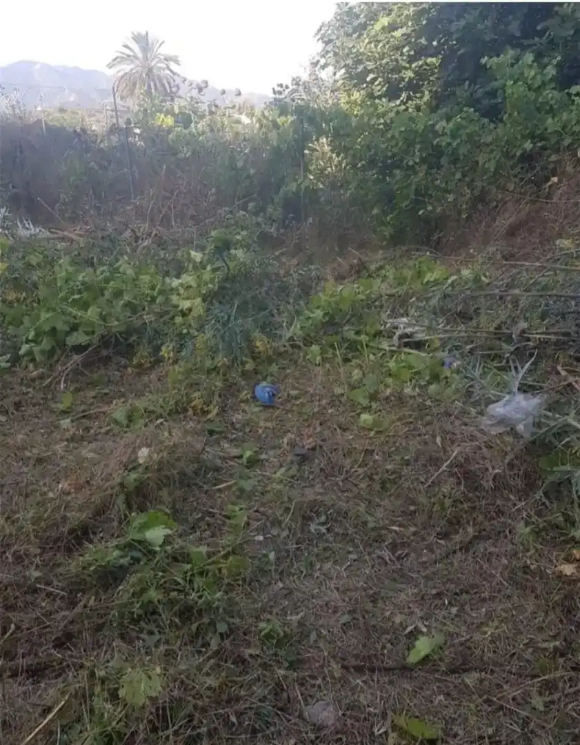 Finca rústica en venda en Abarán