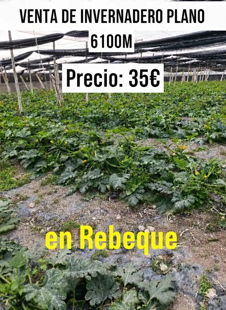 Rural land for sale in Calle Rebeque 20