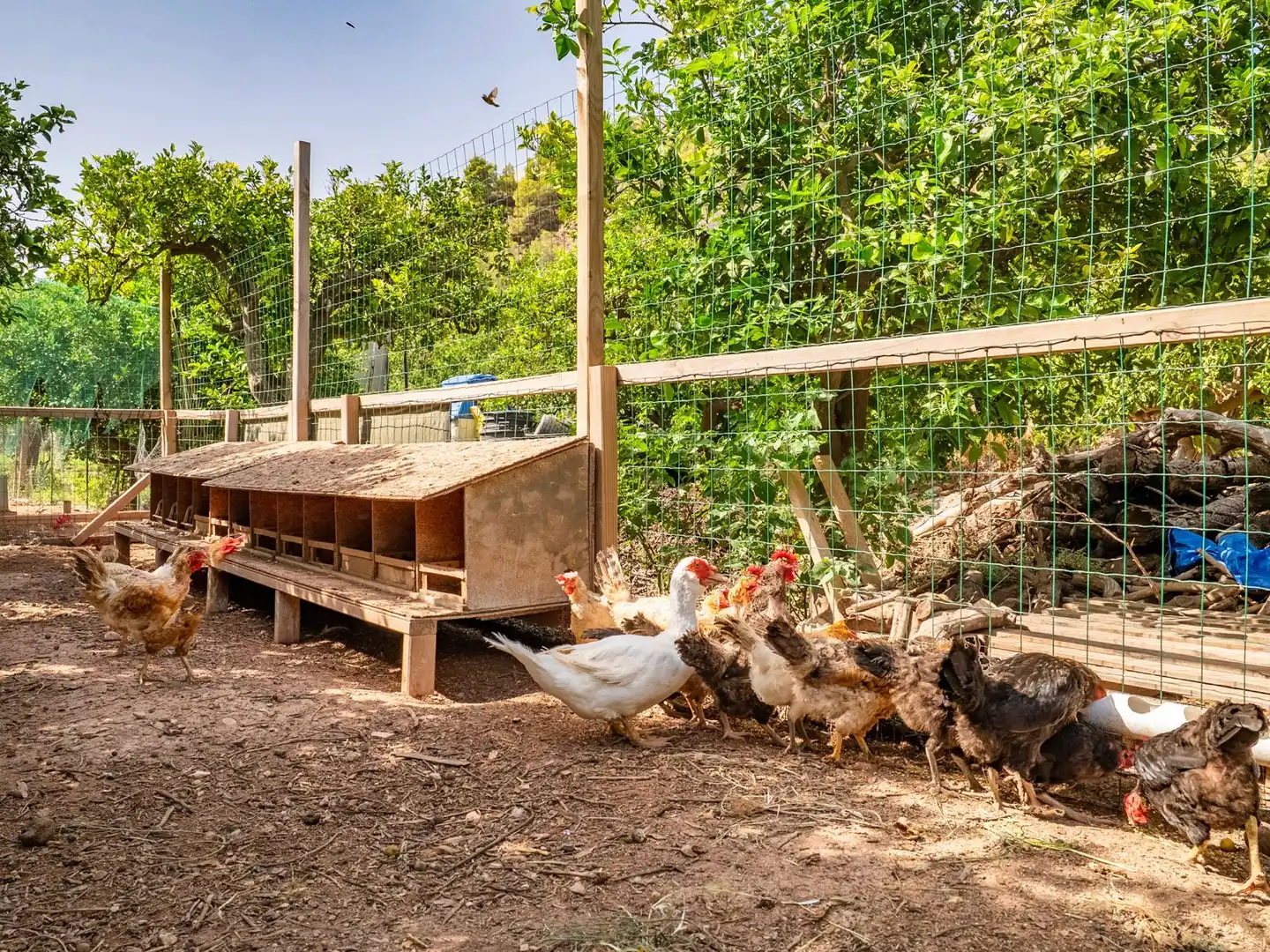 Jardín de Casa o chalet en venta en Callosa d'en Sarrià con Aire acondicionado, Jardín privado y Trastero
