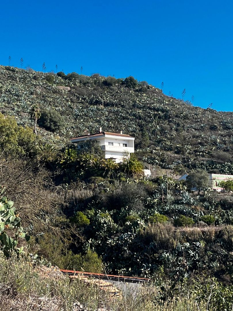 Vista exterior de Casa o xalet en venda en Santa Brígida amb Jardí privat, Terrassa i Balcó