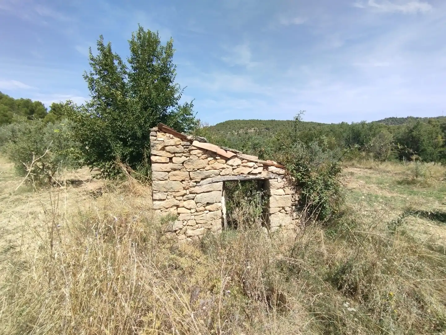 Terreni e lotti in vendita a Valderrobres, imagen 2
