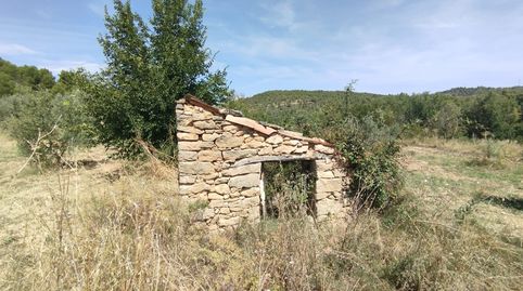 Finca rústica con maset, immagine 2