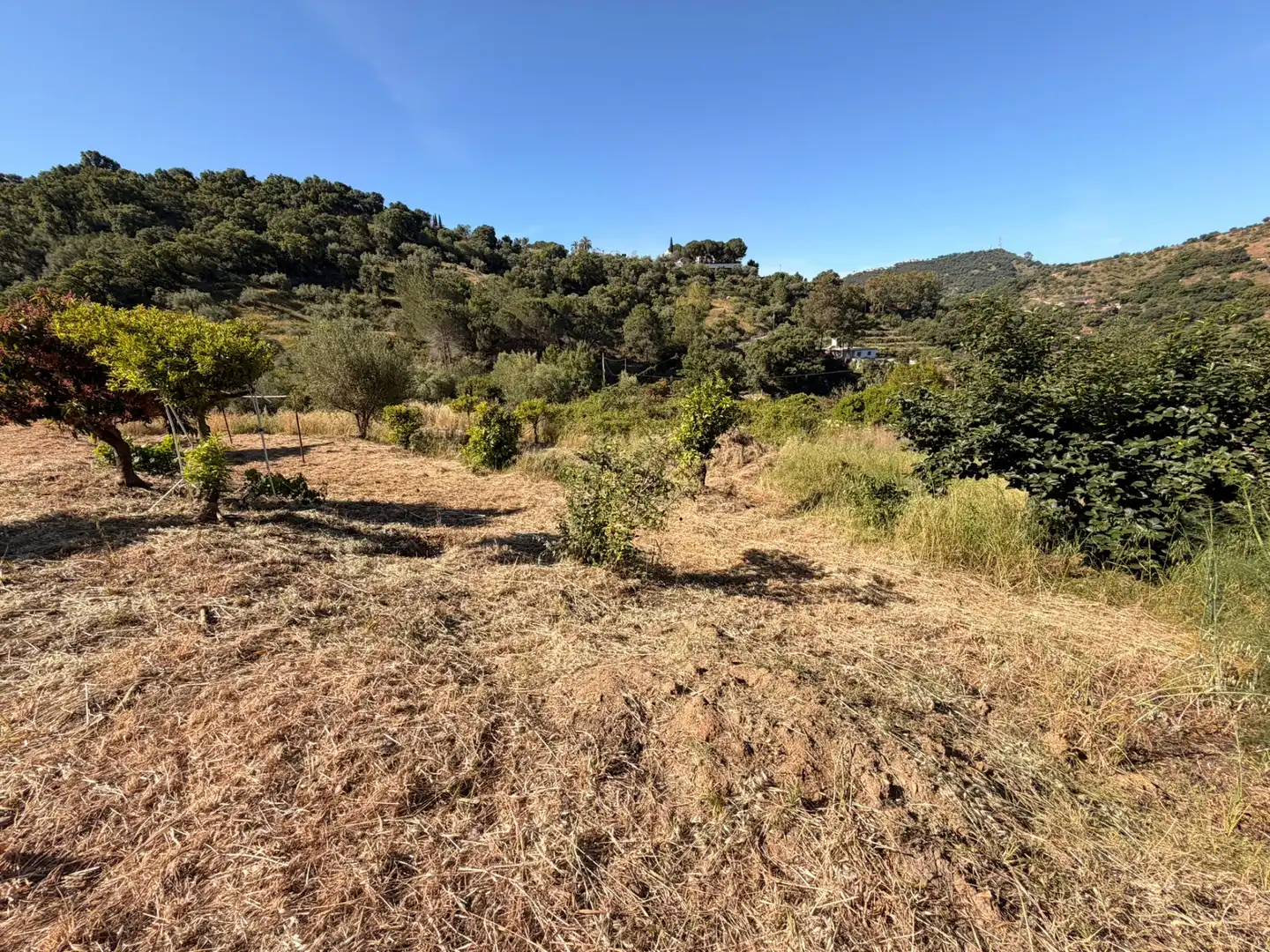 Terrains et parcelles à vendre à Ojén pueblo, imagen 9