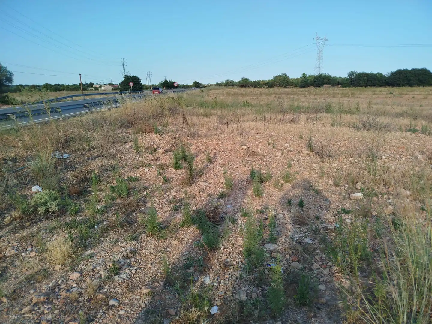 Rural land for sale in Masdenverge, imagen 2