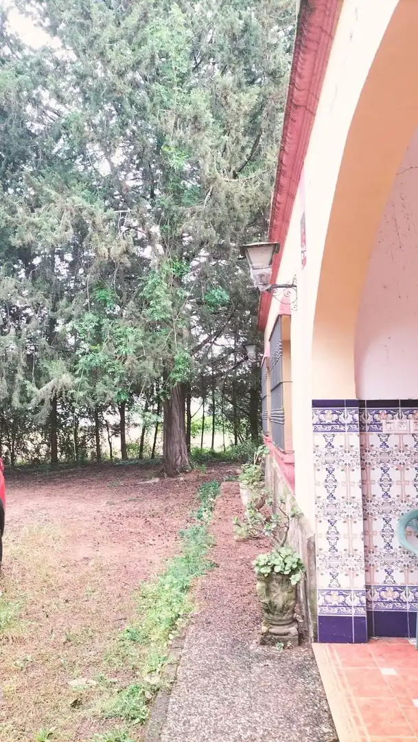 Casa con jardín en venta en Los Franceses – La Vega, imagen 21