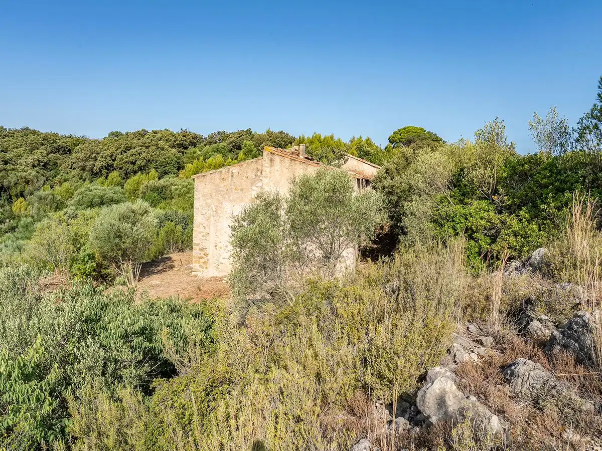 Finca rústica en venta en Llers