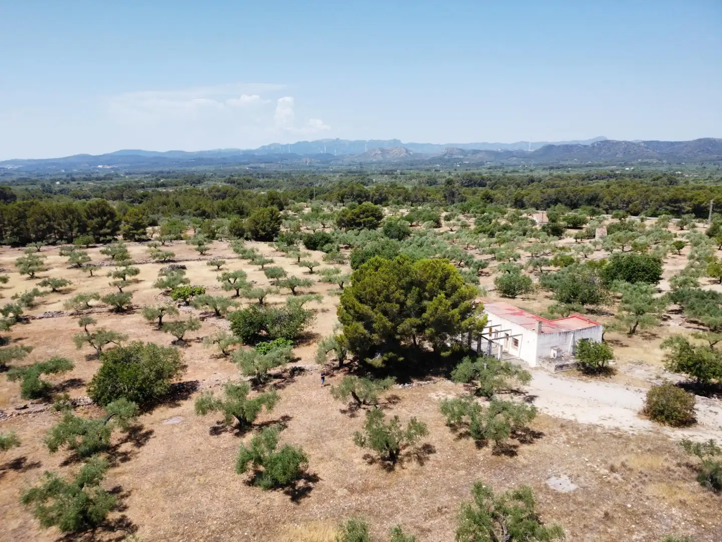 Maison rustique à vendre à L'Ametlla de Mar pueblo, imagen 20