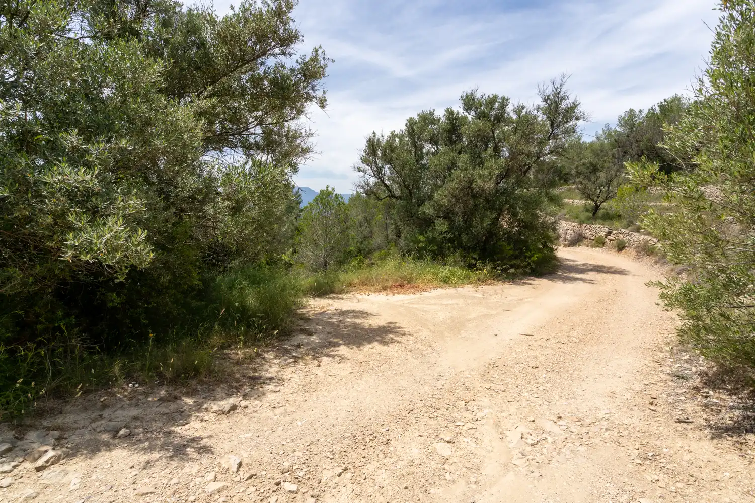 Terrain rustique à vendre à Camí dels Corrals de la Riba 9, imagen 4