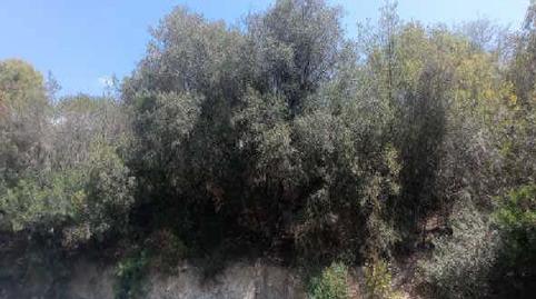 Photo 5 of Residential for sale in Segadors, 43, Sant Muç, Rubí