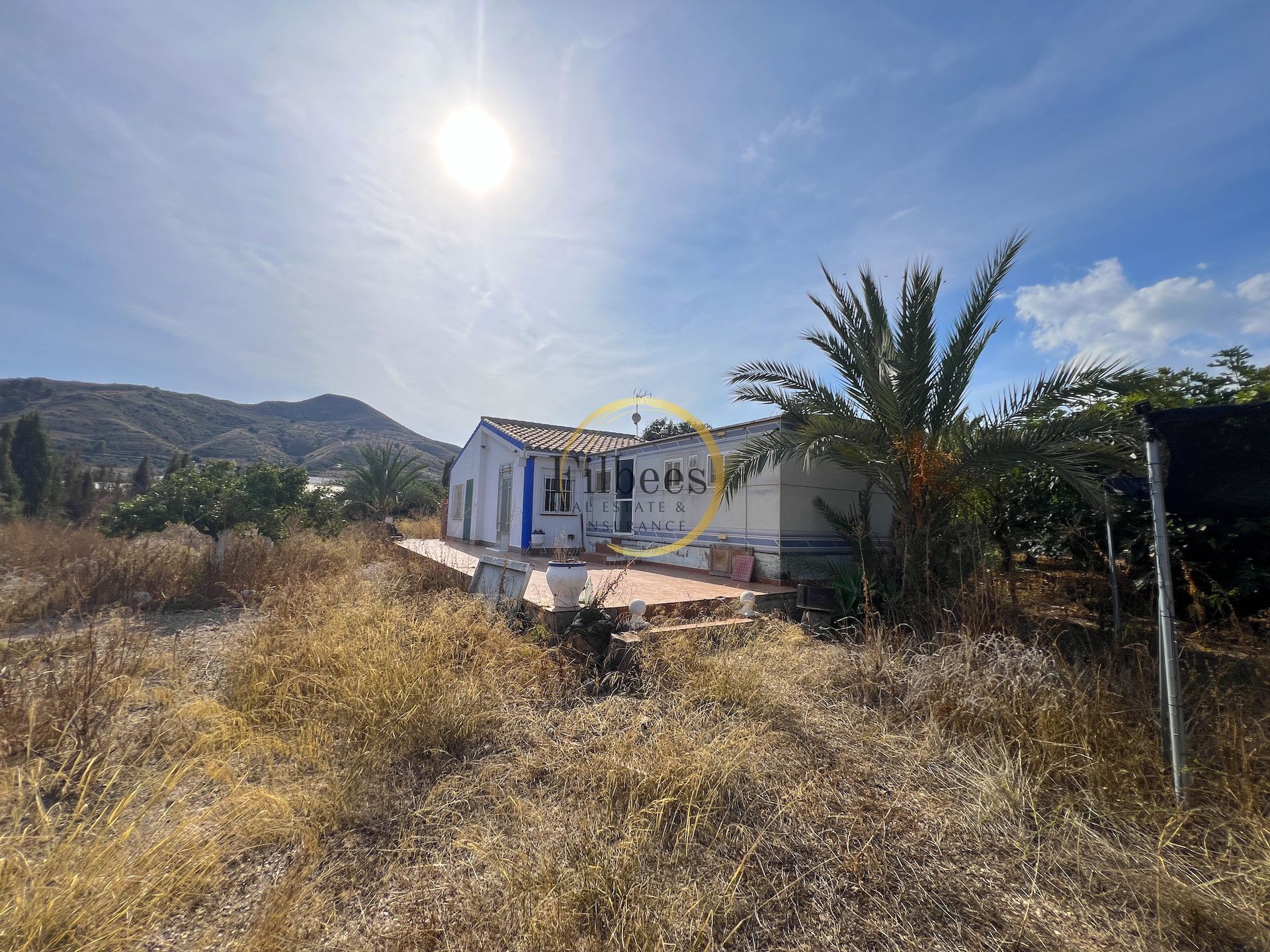 Vista exterior de Finca rústica en venda en Lorca