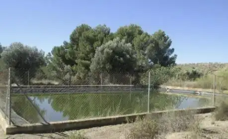 Swimming pool of Country homes for sale in Partaloa