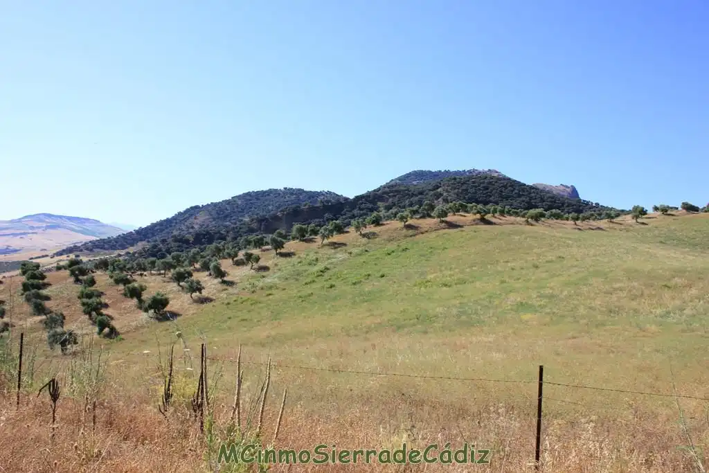 Finca rústica en venta en Montecorto