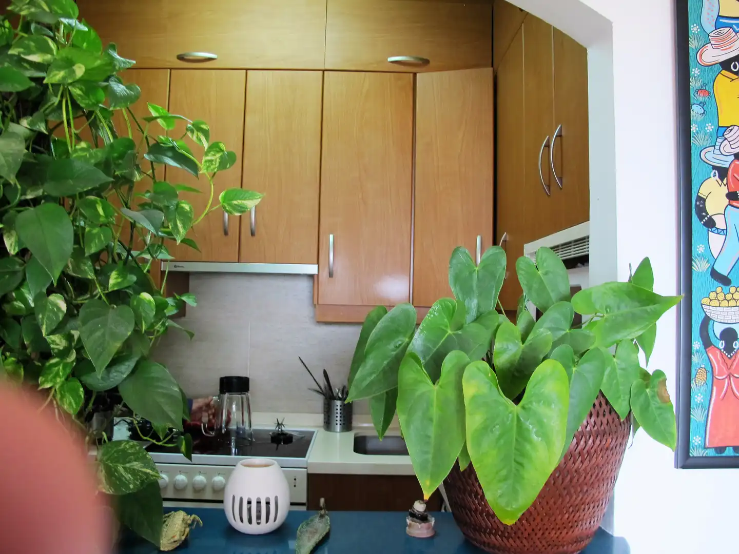 Cocina de Apartamento en venta en Nerja con Aire acondicionado, Terraza y Amueblado