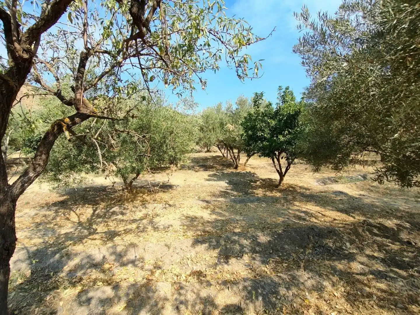 Grundstücke und Bauplätze zum Verkauf in Ugíjar, imagen 15