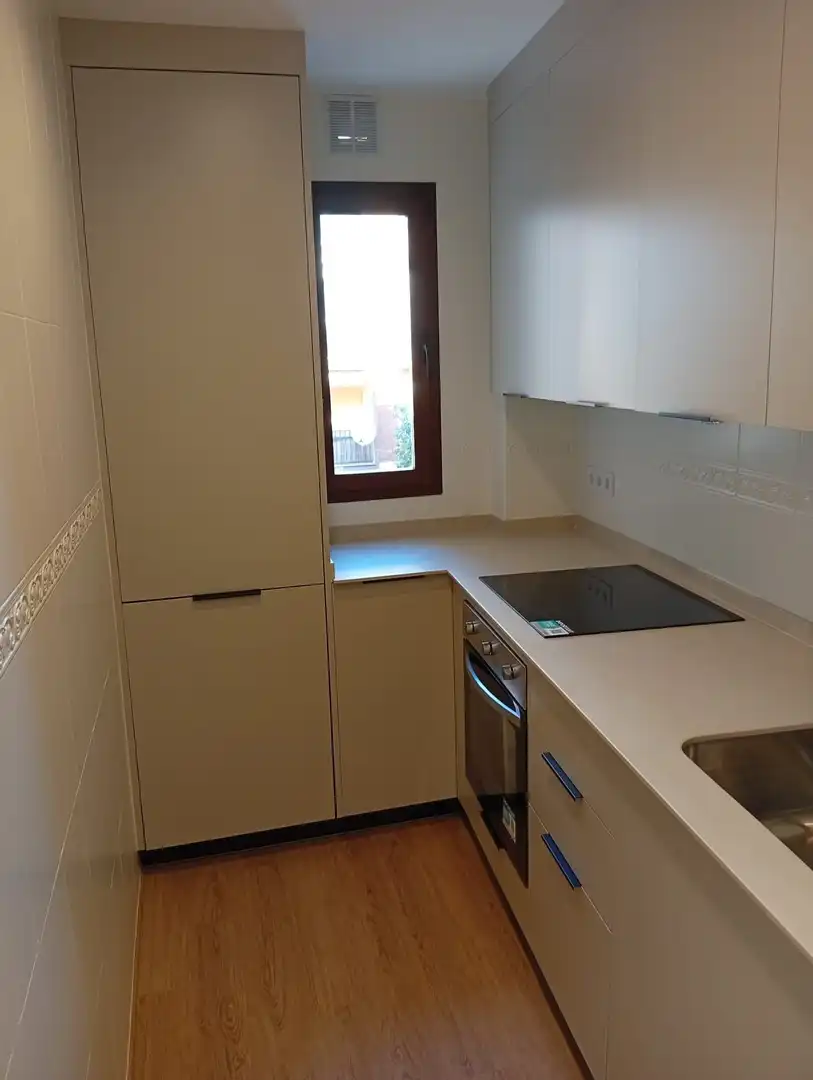 Kitchen of Flat for sale in Málaga