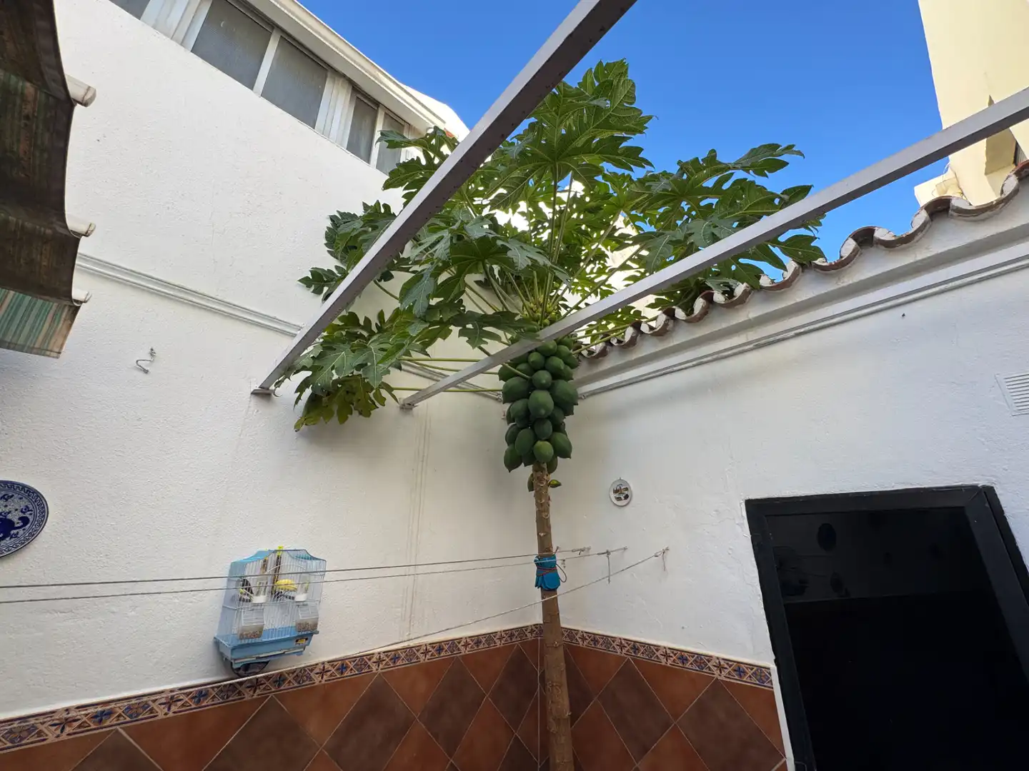Terrassa de Casa adosada en venda en Mijas amb Aire condicionat, Calefacció i Jardí privat