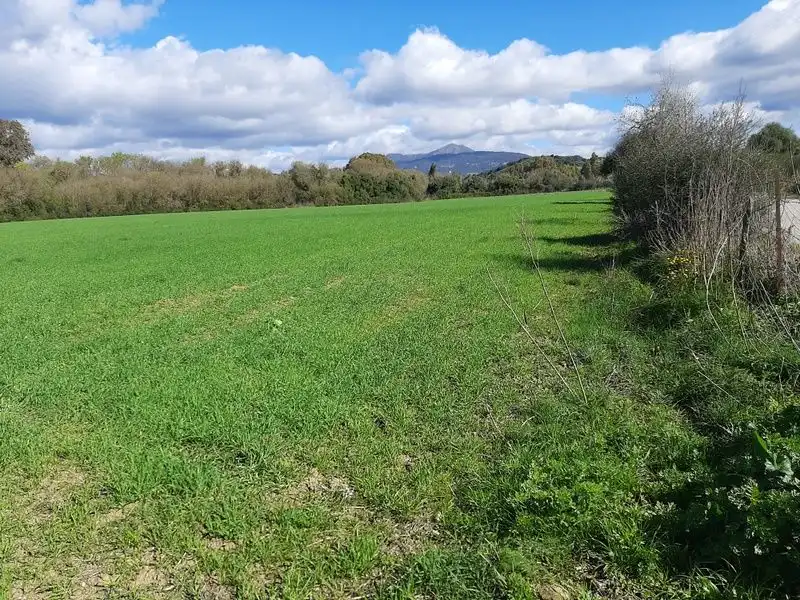 Terreno rustico in vendita a Jimena de la Frontera, imagen 2
