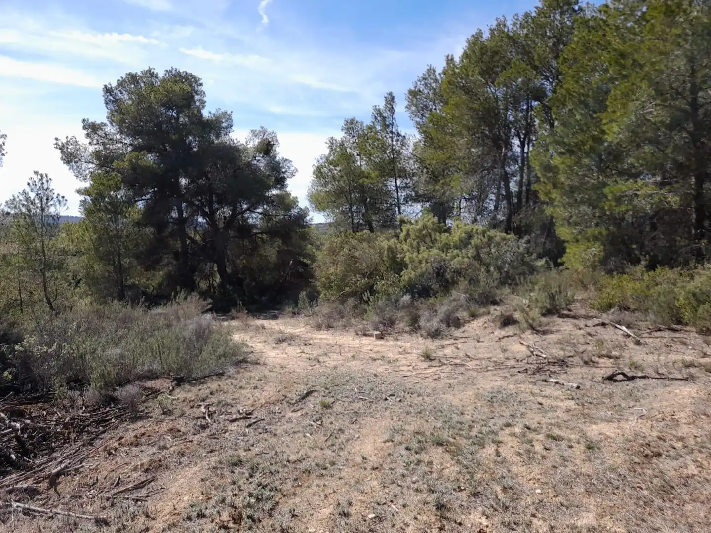 Rural land for sale in Batea, imagen 11