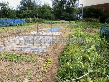 Lands and plots for sale in Valle de Trapaga-Trapagaran