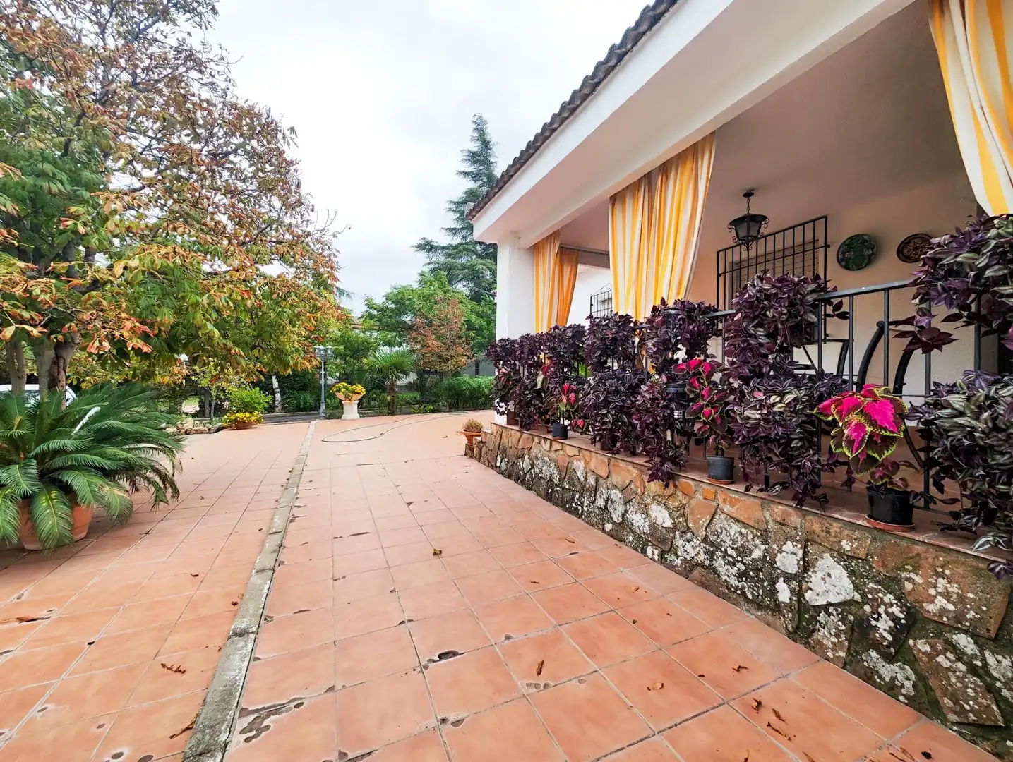 Casa o chalet en venta en CM-4110, PAU 2-600