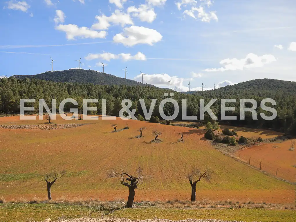 Finca rústica en venda en Ayora amb Calefacció, Jardí privat i Terrassa