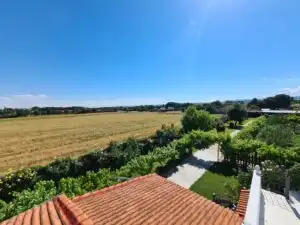 Jardí de Finca rústica en venda en Fuente El Saz de Jarama amb Aire condicionat, Calefacció i Jardí privat