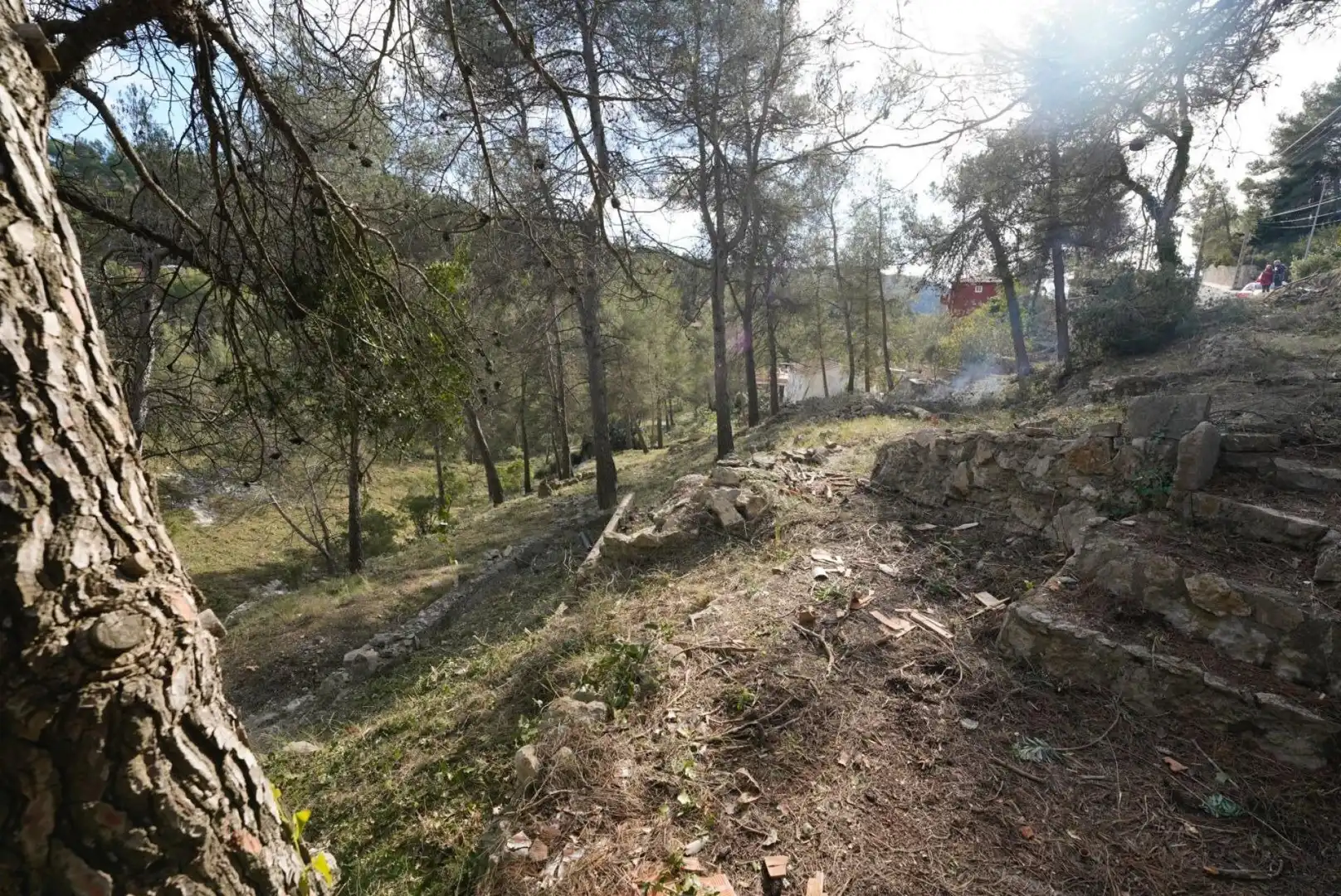 Terrenys i solars en venda a Olesa de Bonesvalls, imagen 6
