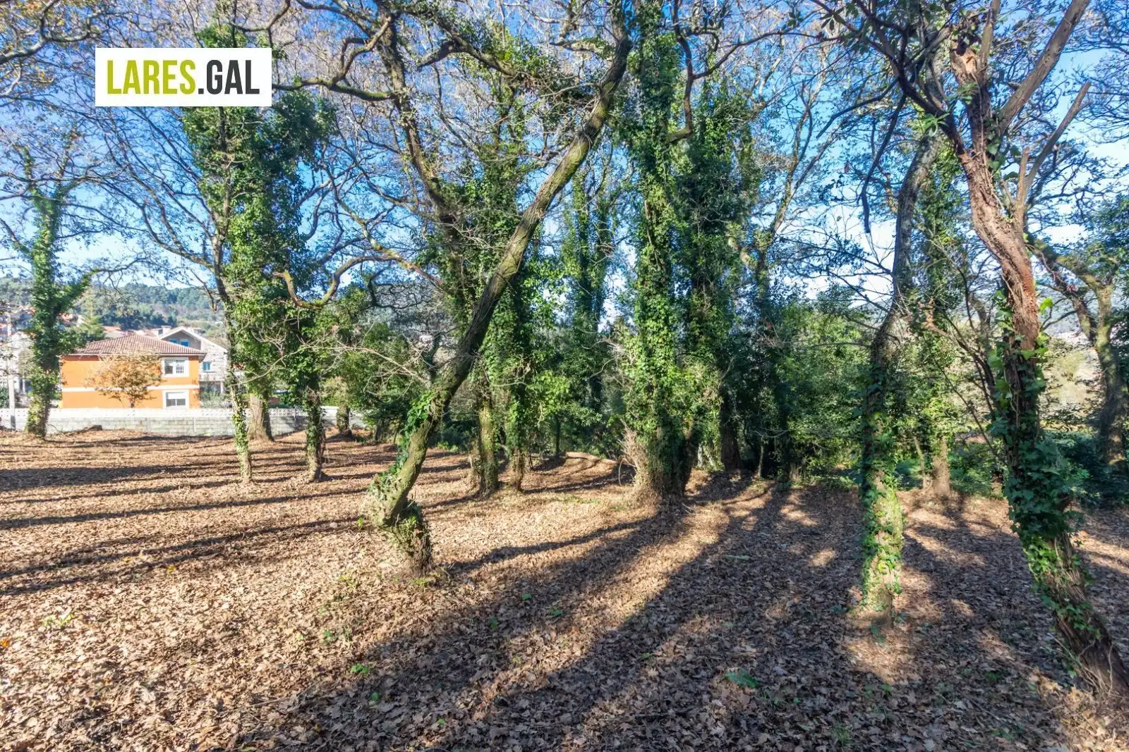 Lands and plots for sale in Rúa Ximeu, imagen 6