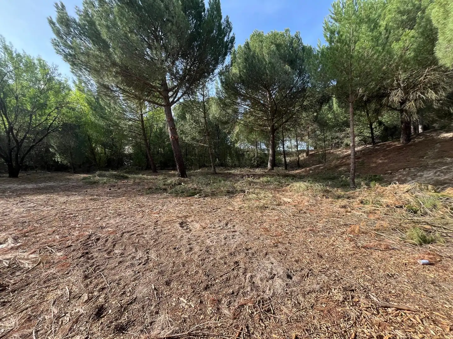 Terreno en venta en Tudela de Duero