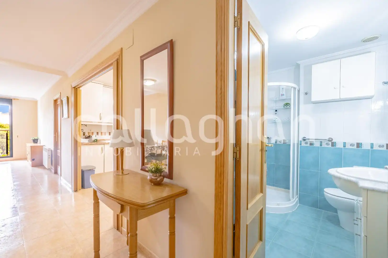 Piso con ascensor en venta en Sur, imagen 8