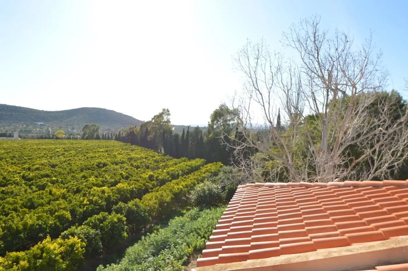 Jardín de Casa o chalet en venta en Benicarló con Aire acondicionado, Calefacción y Jardín privado