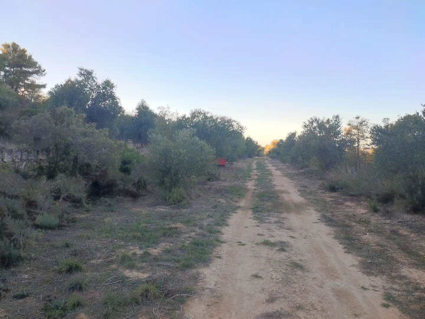 Terreno rústico en venta en L'Albagés, imagen 39