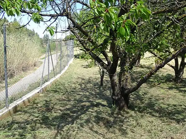 Xalet amb piscina en venda a Camino del Parrizal 7, imagen 9