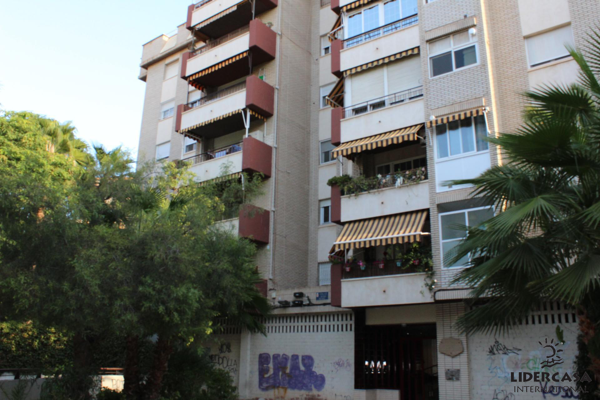 Exterior view of Flat to rent in  Murcia Capital  with Private garden and Terrace