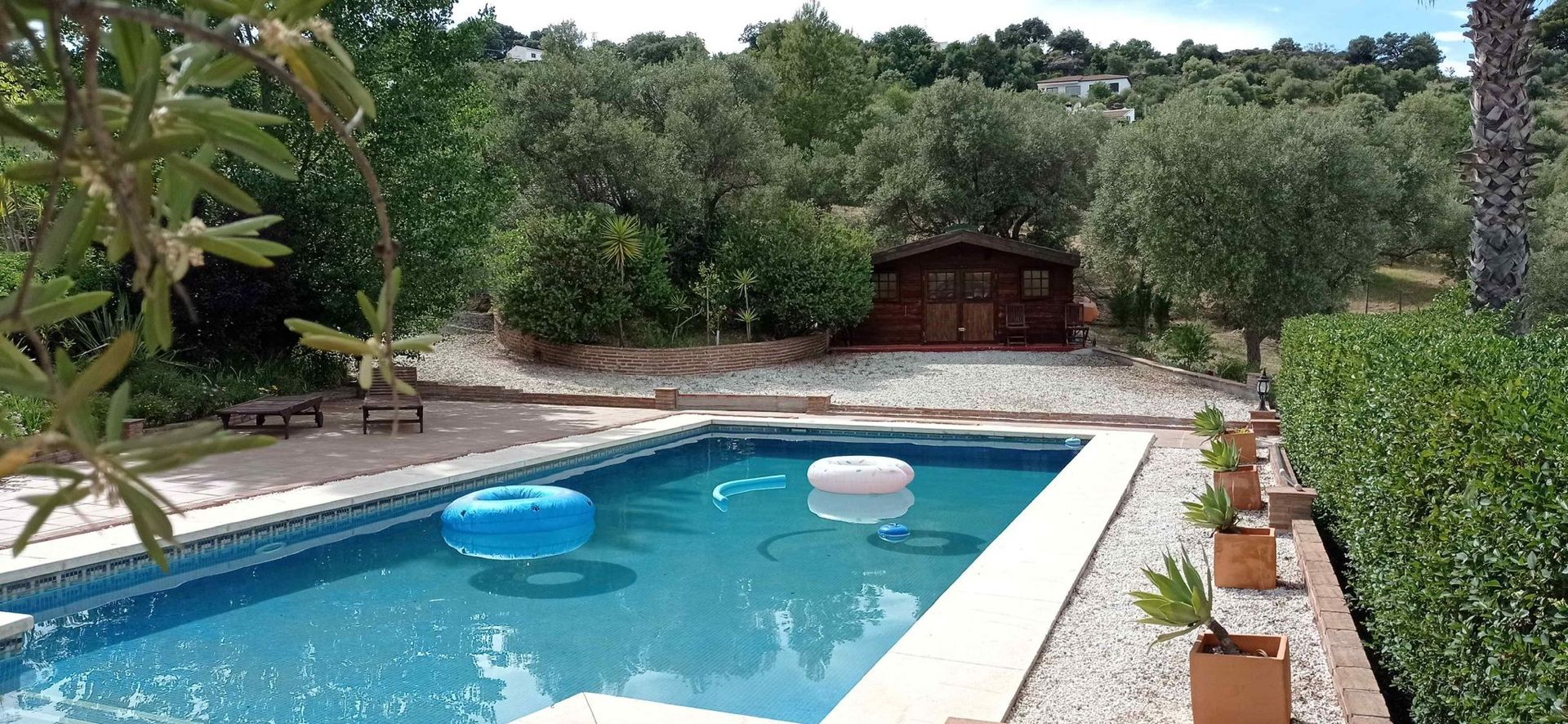 Swimming pool of House or chalet for sale in Alhaurín de la Torre  with Private garden, Terrace and Swimming Pool