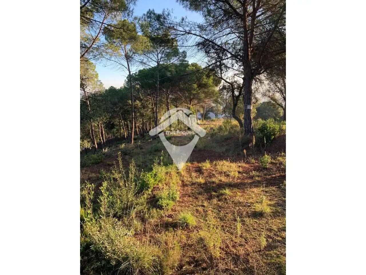 Terreno industrial en venta en Fogars de la Selva
