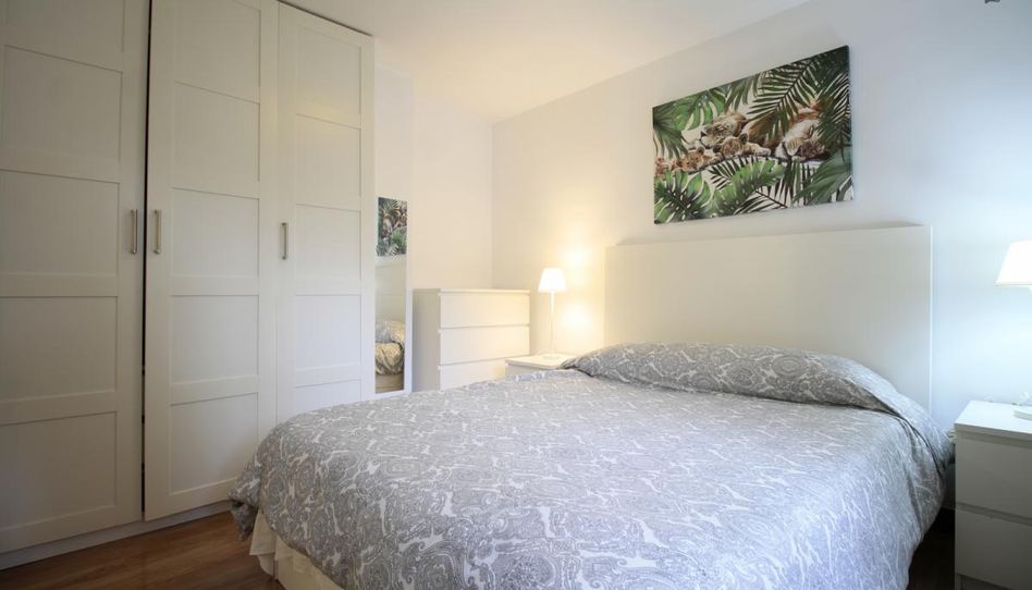 Estudio de alquiler en Nueva España - Imagen 4