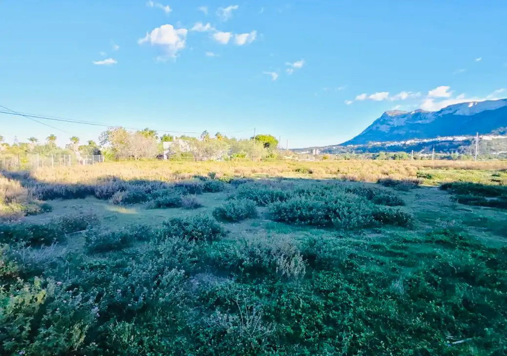 Villa avec jardin à vendre à El Puerto, imagen 8