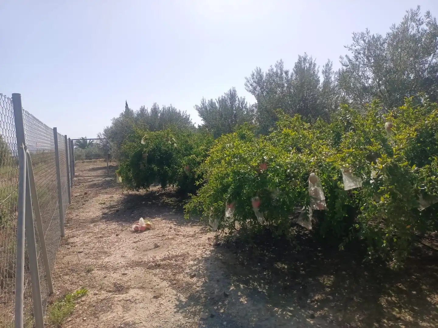 Houses for sale in Molina de Segura