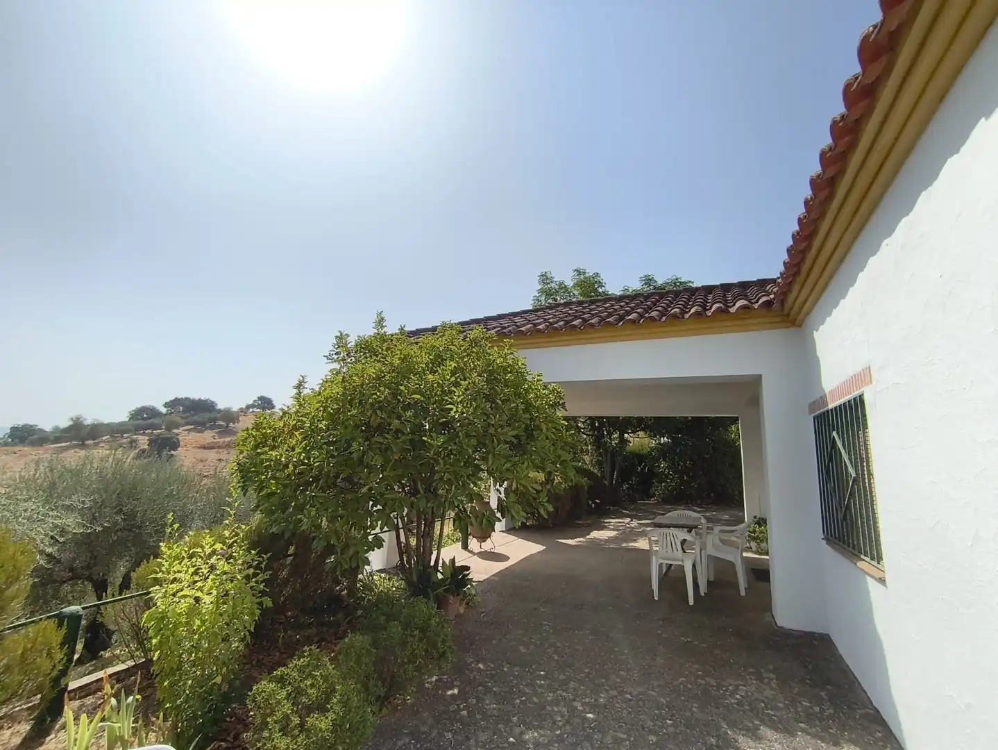 Casa rústica amb jardí en venda a Cazalla de la Sierra, imagen 23