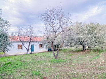 Terreno rustico in vendita a Autovia Pinos Genil