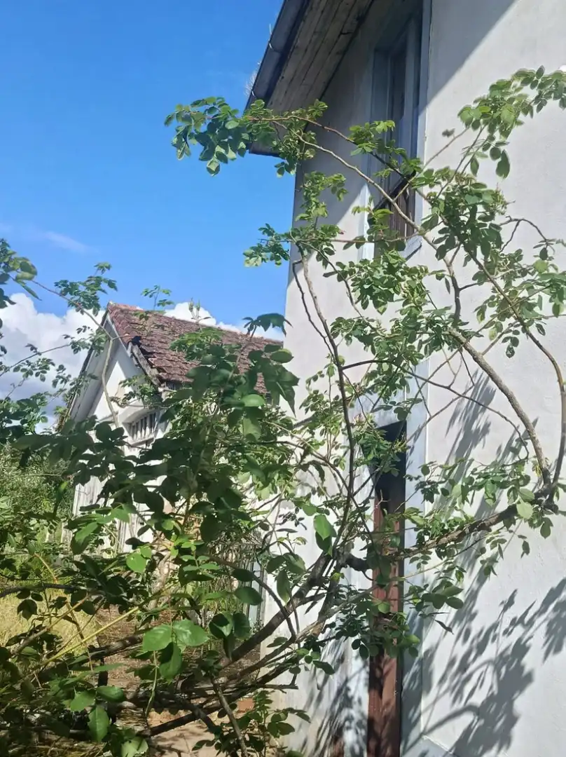Vista exterior de Finca rústica en venda en Pravia amb Jardí privat, Moblat i Forn