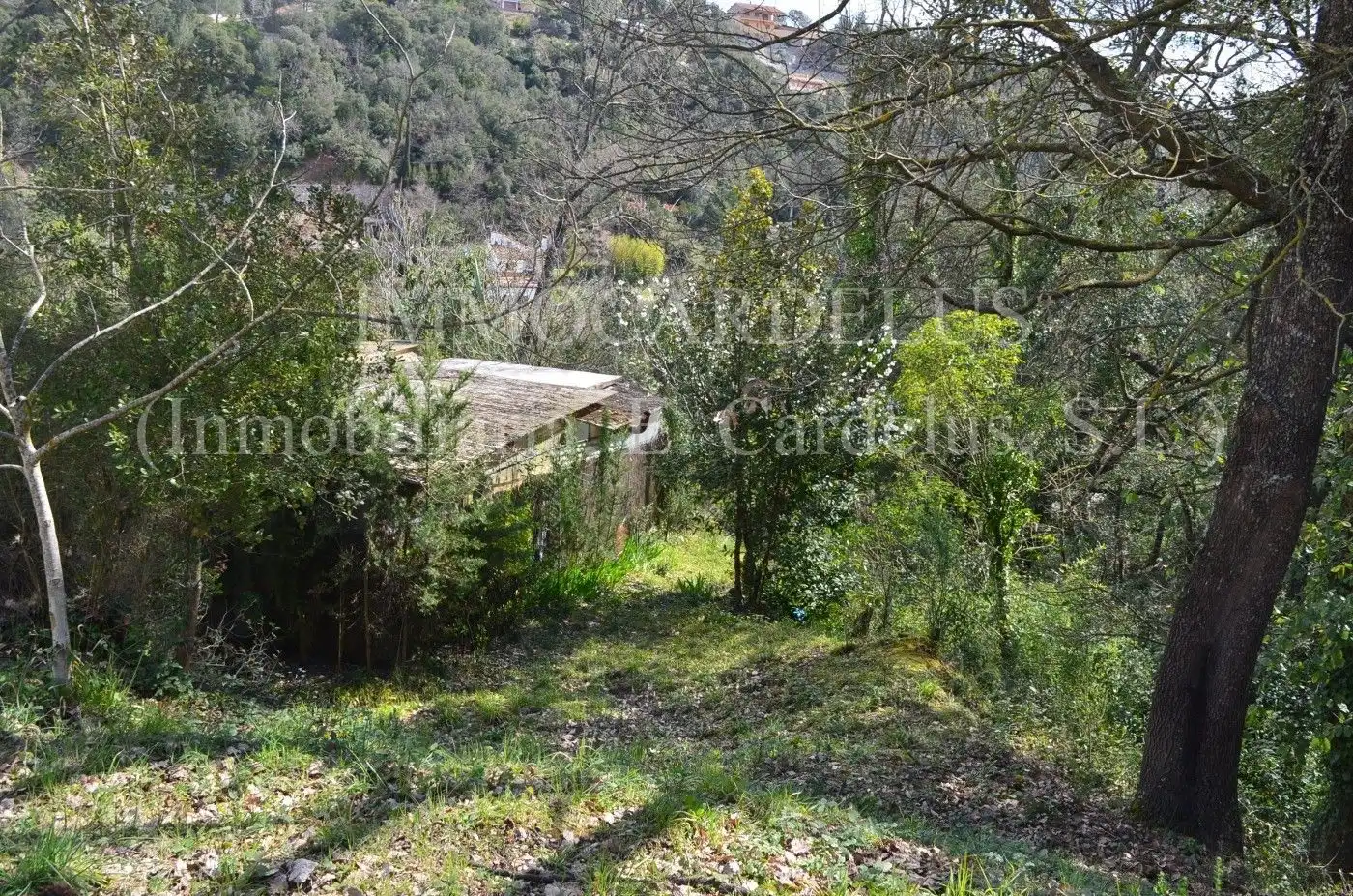 Terreny residencial en venda a Riells i Viabrea, imagen 5