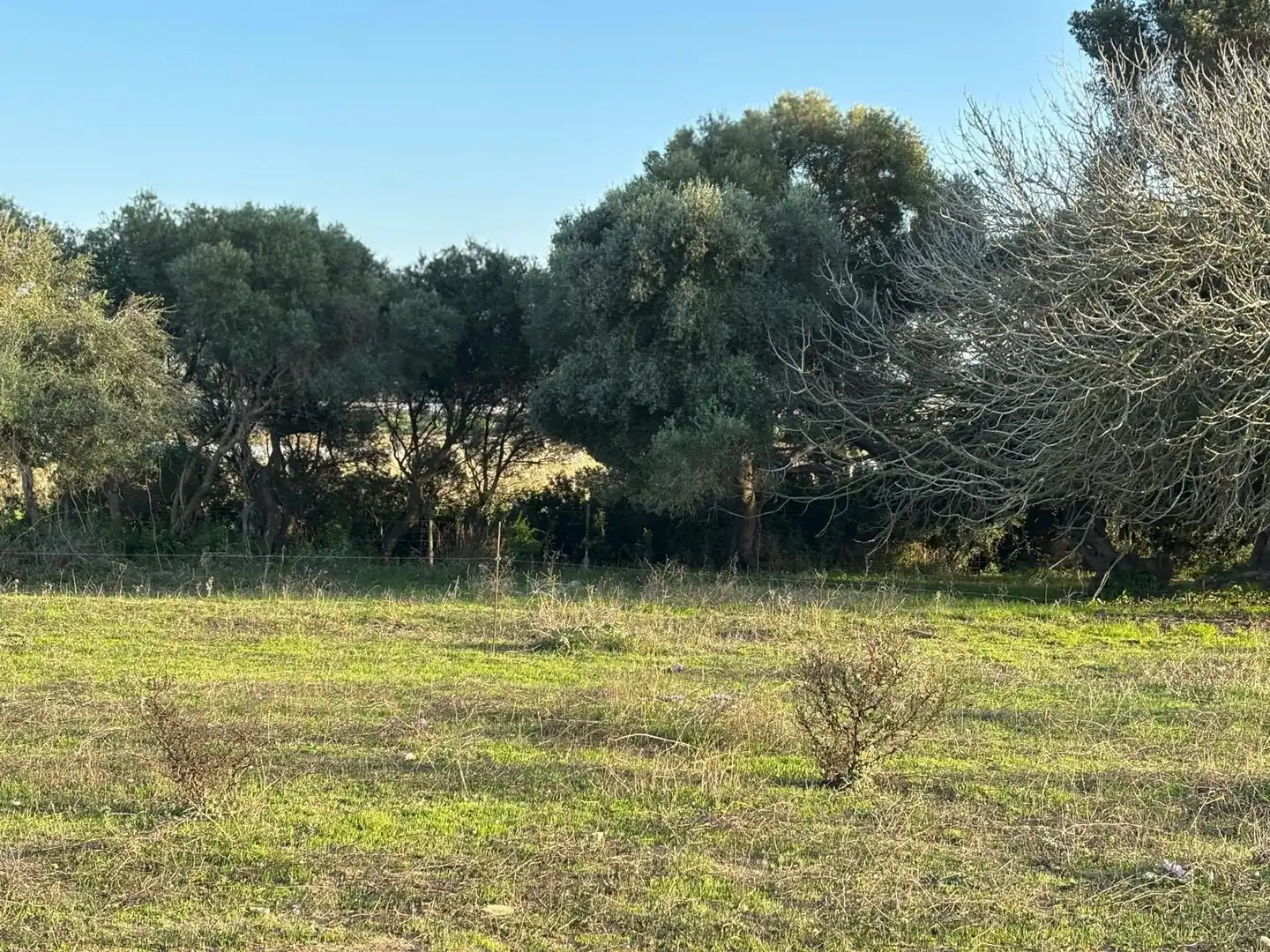 Terreni e lotti in vendita a Vejer, imagen 27