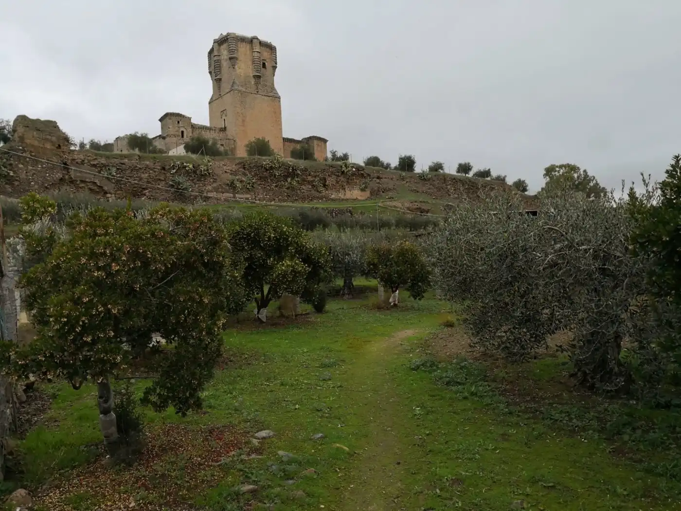 Jardín de Finca rústica en venta en Belalcázar