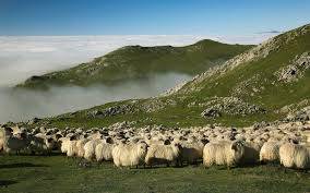 Piso en Venta en Kale Nagusia Kalea, 43 en Idiazabal