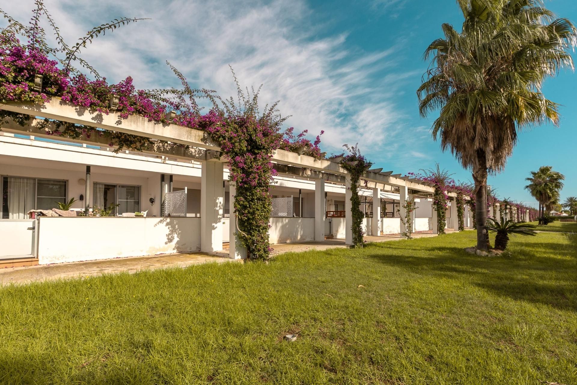Vista exterior de Casa o xalet en venda en Amposta amb Aire condicionat, Jardí privat i Terrassa