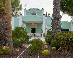 Vista exterior de Finca rústica en venda en Aspe amb Terrassa i Piscina