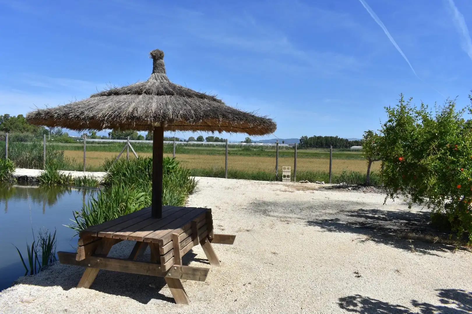 Finca rústica en venda a Eucaliptus - Poble Nou del Delta