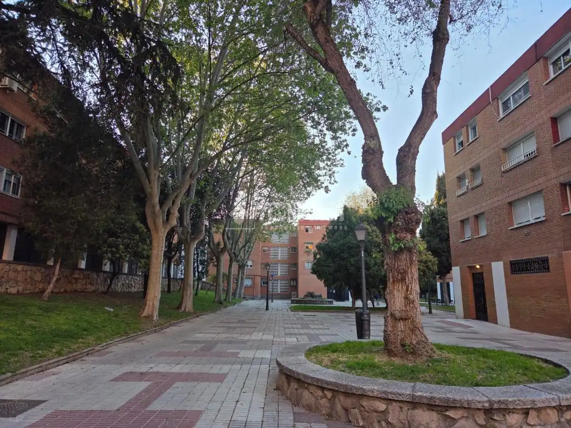 Vista exterior de Pis en venda en Madrid amb Traster